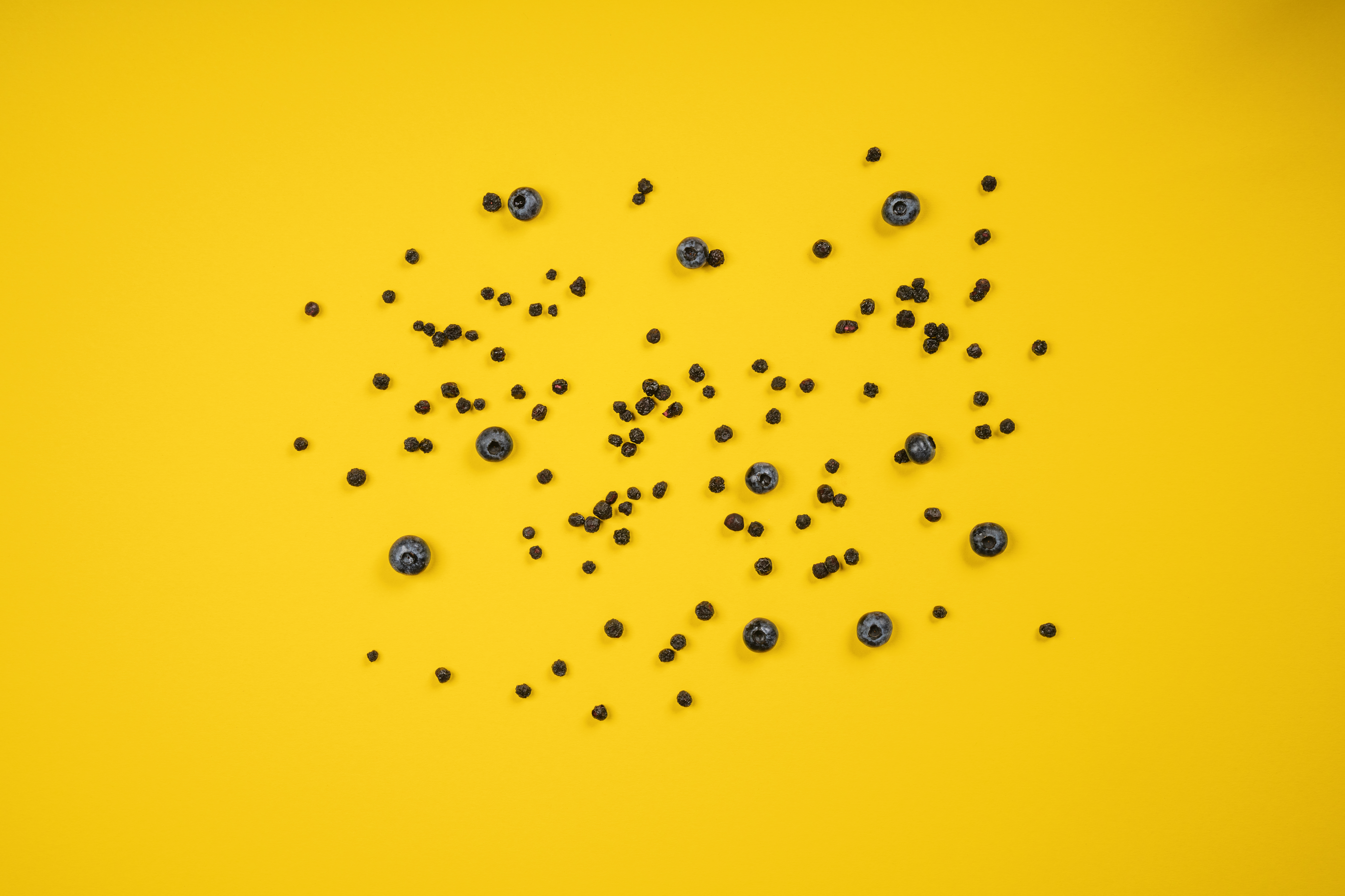 Frau mit gefriergetrockneter Heidelbeeren Packung