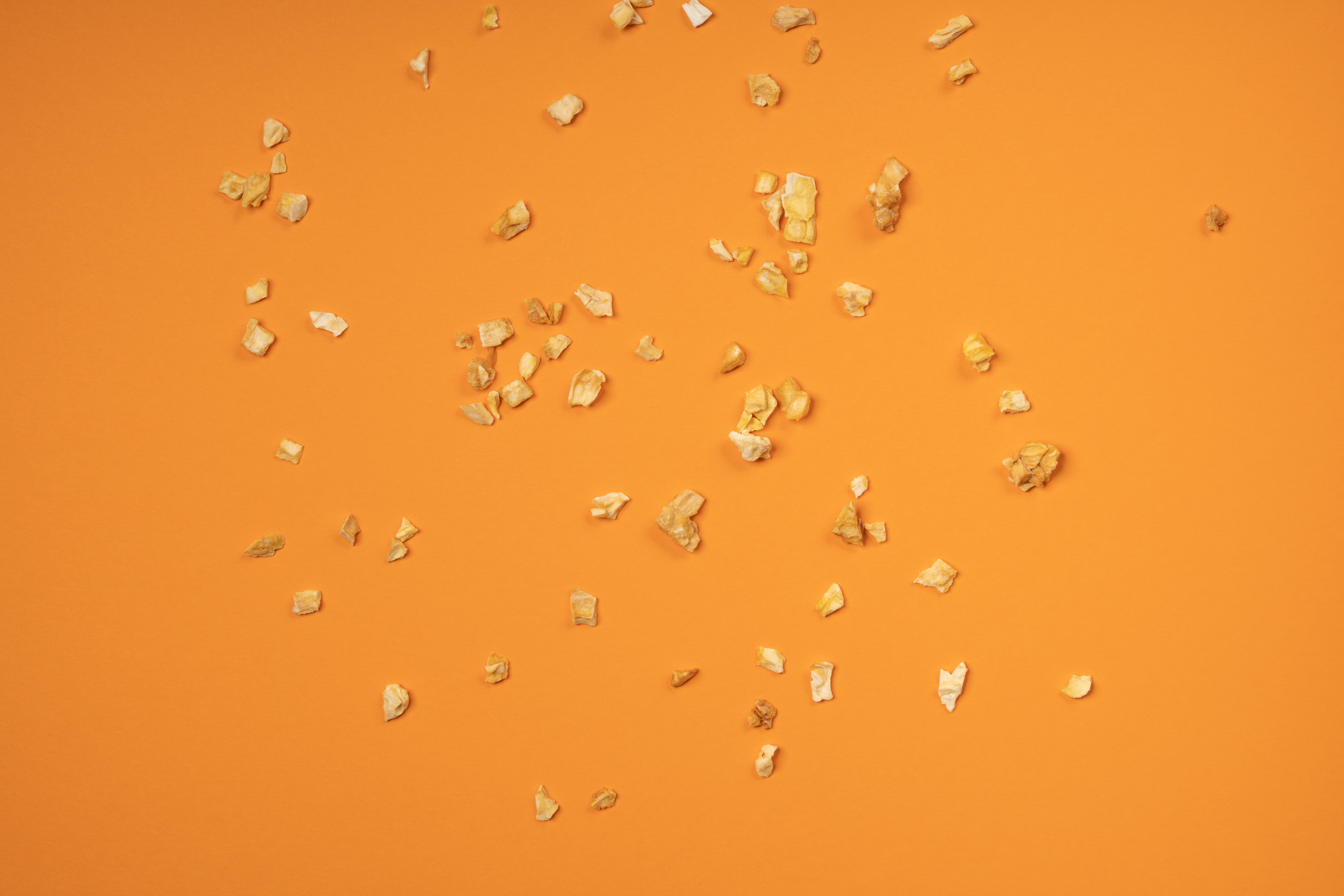 Gefriergetrocknete Jackfruit in Edelstahl Dose