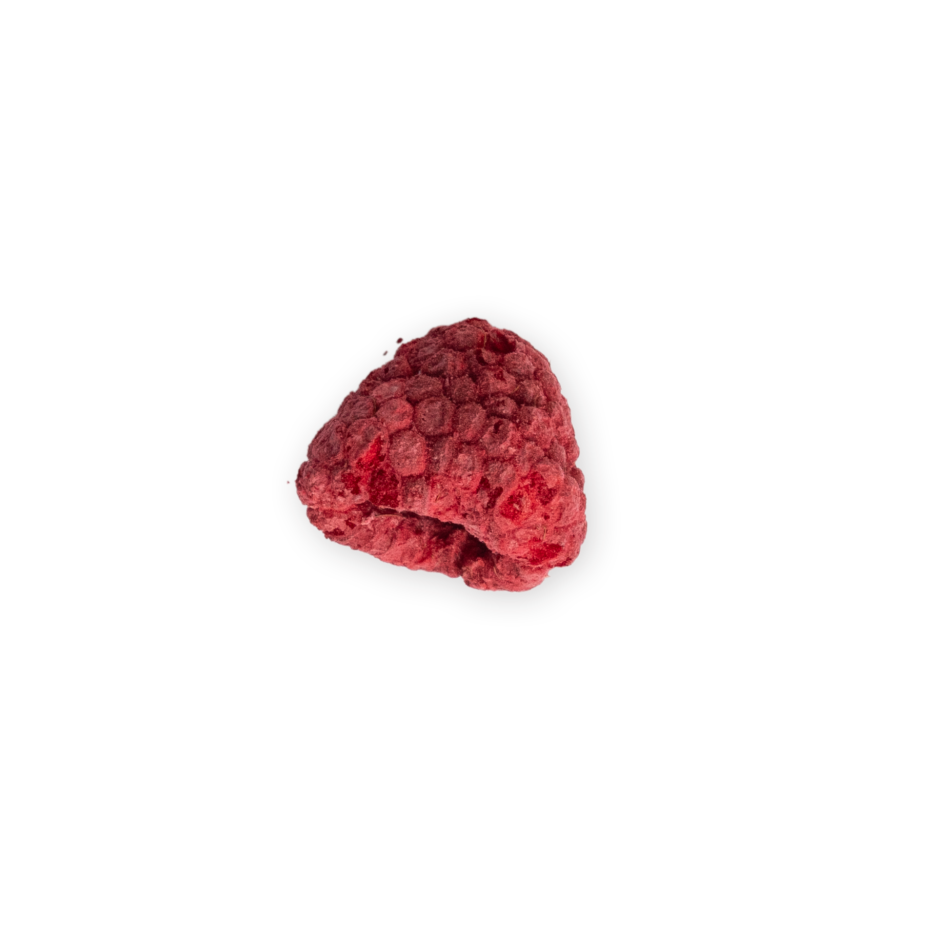 gefriergetrocknete Himbeere Snack-Dose