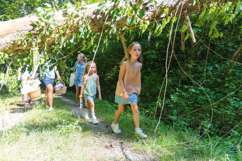 Gefriergetrocknete Äpfel
