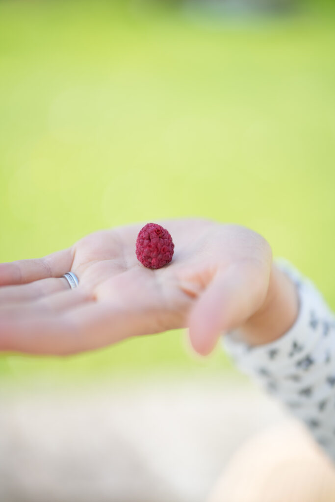 Gefriergetrocknete Erdbeeren