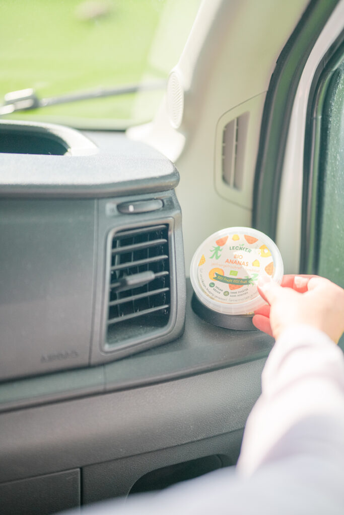 Ananas mit Sonnenbrille