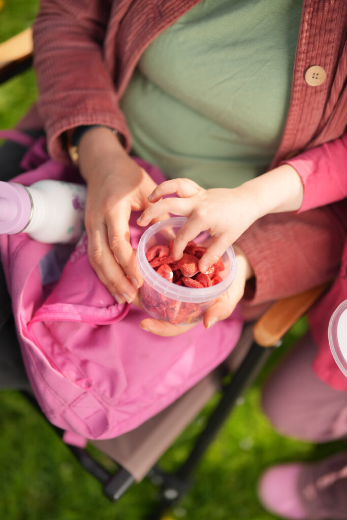Gefriergetrocknete Erdbeeren