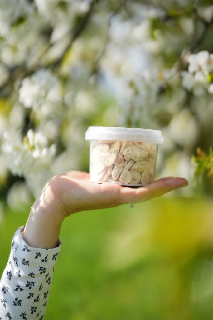 Junge Frau mit gefriergetrockneten Bananen