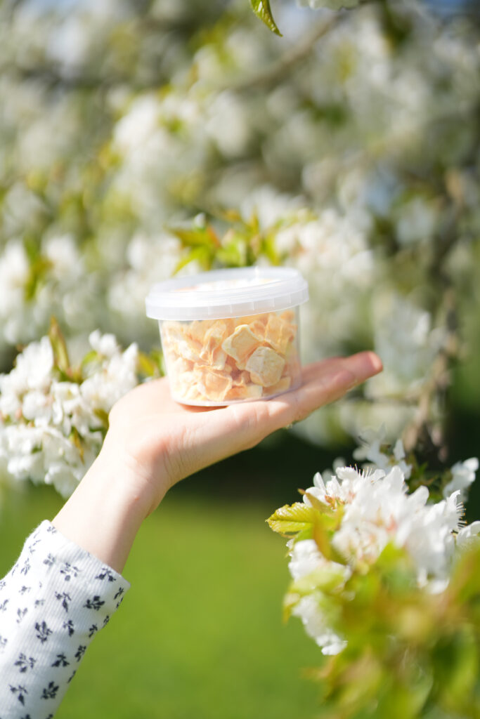 gefriergetrockneter mango snack bio